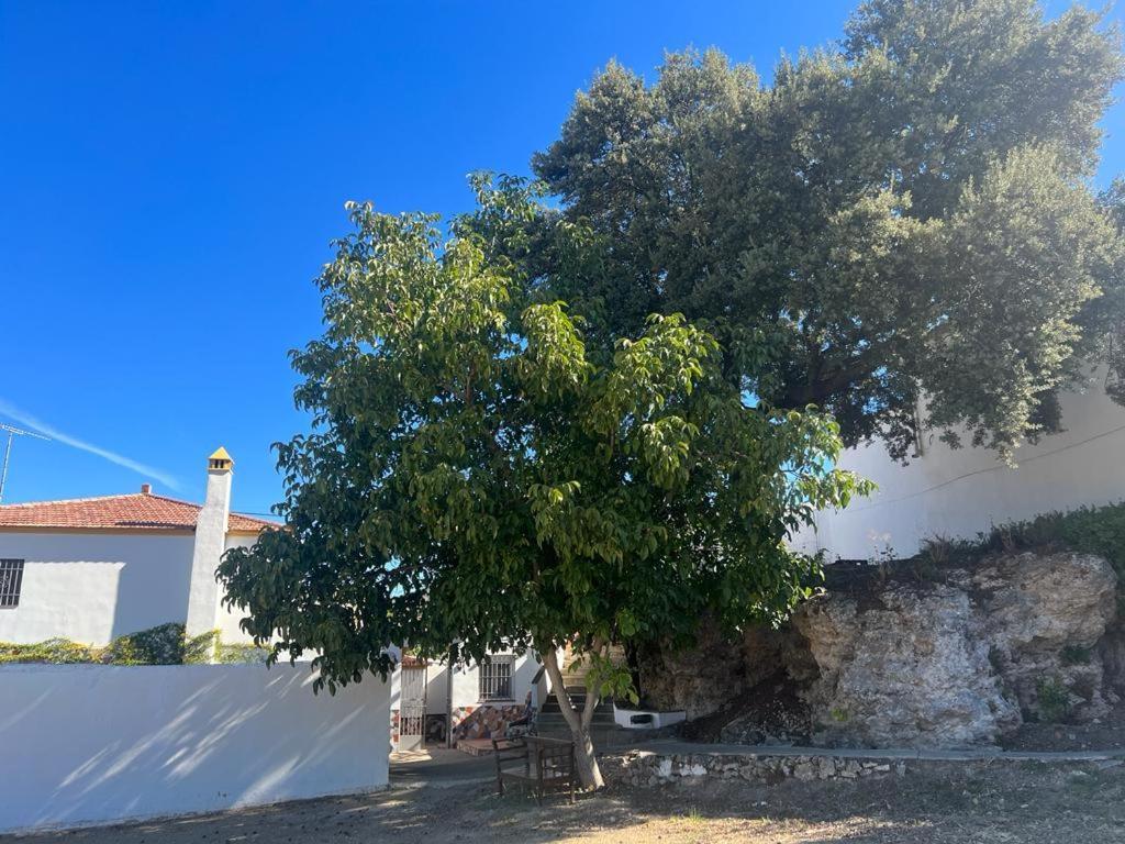 Alojamiento Rural Huerta Mandre Cuevas del Becerro Exterior foto